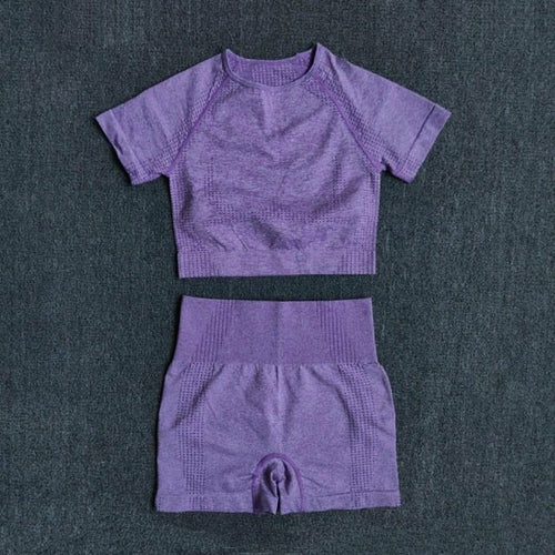 FlexFit Seamless Women’s Yoga Set: Comfort & Style