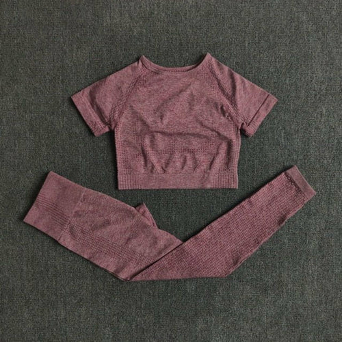 FlexFit Seamless Women’s Yoga Set: Comfort & Style