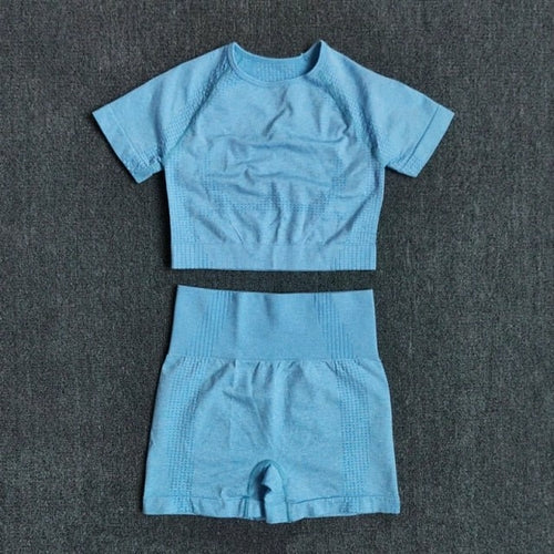 FlexFit Seamless Women’s Yoga Set: Comfort & Style