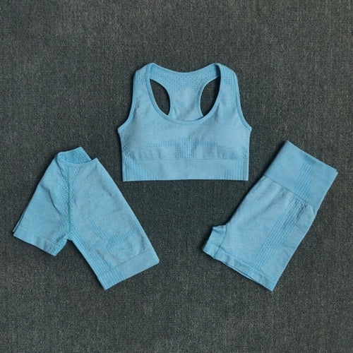 FlexFit Seamless Women’s Yoga Set: Comfort & Style