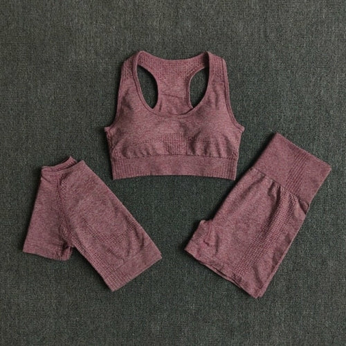 FlexFit Seamless Women’s Yoga Set: Comfort & Style